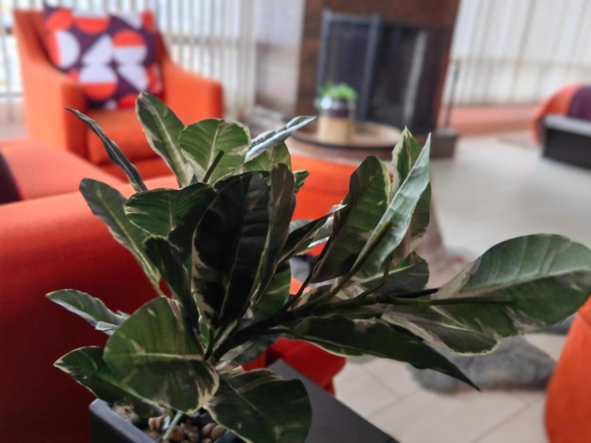 Casa Cacho Hotel Tijuana Eksteriør billede